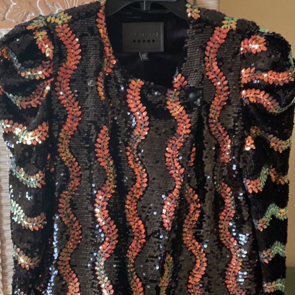 NWOT Puff Sleeve Sequin Blazer
BLANKNYC - Picture 12 of 16